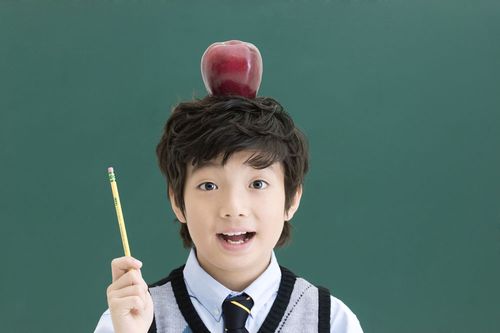 青岛鑫考教育 深耕本土的教育力量与成长路径